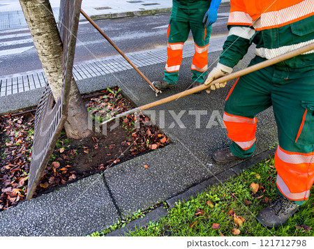 Municipal workers maintaining urban green spaces with rakes and leaf cleanup Municipal workers maintaining urban green spaces with rakes and leaf cleanup 121712798