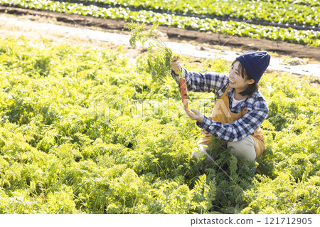 田間勞動的女農圖片 121712905