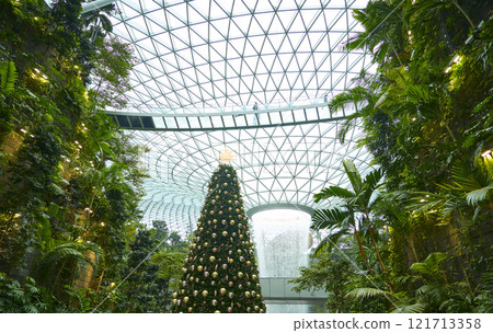 Christmas tree standing tall in jewel changi airport, singapore 121713358
