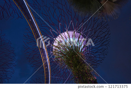 Supertree grove illuminated at night with ocbc skyway in gardens by the bay, singapore 121713375
