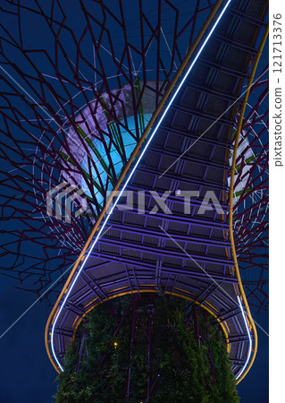 Supertree grove canopy lighting up the night sky in singapore Supertree grove canopy lighting up the night sky in singapore 121713376