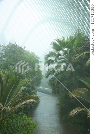 Lush greenery thriving under glass canopy in cloud forest, gardens by the bay Lush greenery thriving under glass canopy in cloud forest, gardens by the bay 121713390