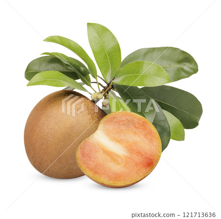 Fresh sapodilla with leaves isolated on white background Fresh sapodilla with leaves isolated on white background 121713636