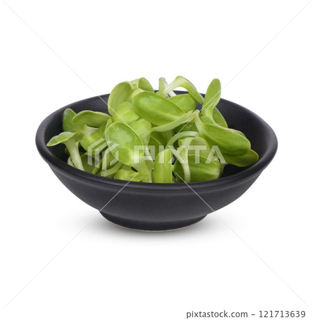 Fresh green young sunflower in black cup sprouts isolated on white background 121713639