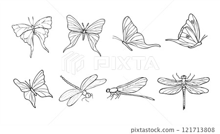 Flying butterflies and dragonflies vector isolated illustration clip art. Abstract fluttering insects painted by black inks. Decorative animal element set for Valentine day card design, tattoo. Flying butterflies and dragonflies vector isolated illustration clip art. Abstract fluttering insects painted by black inks. Decorative animal element set for Valentine day card design, tattoo. 121713808