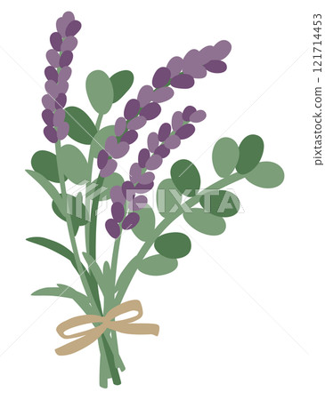 Lavender and ribbon vector illustration Lavender and ribbon vector illustration 121714453