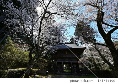 Spring Tamba Sasayama 121714490