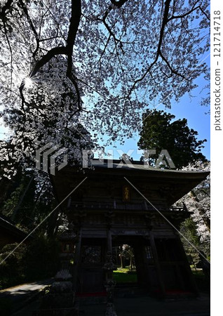 春天丹波筱山 春天丹波筱山 121714718