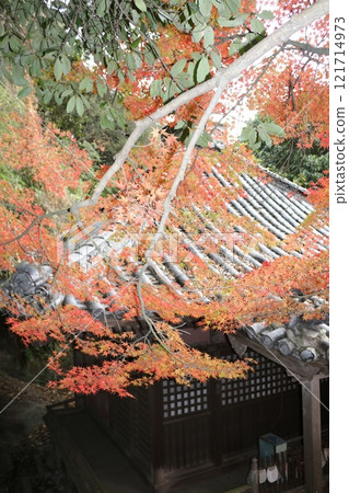 Shikoku Pilgrimage, No. 71, Yataniji Temple 121714973