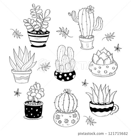 Collection houseplant cactus. Vector illustration. Isolated hand drawings tropical indoor plants in pots . Collection houseplant cactus. Vector illustration. Isolated hand drawings tropical indoor plants in pots . 121715682