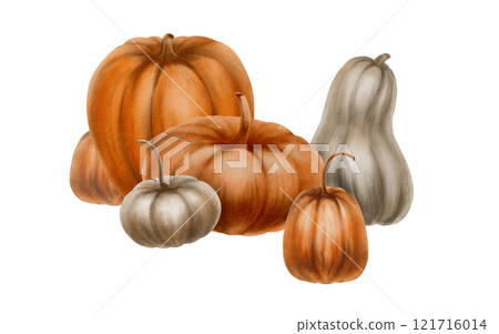 Rustic orange and grey pumpkins from the fall harvest as a festive holiday symbol.Farm healthy food.Decoration for Halloween,Thanksgiving,pie recipe.Watercolor clipart on transparent background Rustic orange and grey pumpkins from the fall harvest as a festive holiday symbol.Farm healthy food.Decoration for Halloween,Thanksgiving,pie recipe.Watercolor clipart on transparent background 121716014