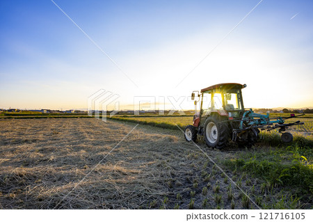 Rice field and tractor 121716105