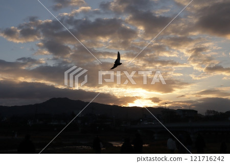 日出 121716242