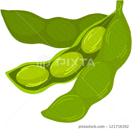 Raw soy, soybeans pods isolated vector set. Green fresh bean husk with seeds and leaves, soya natural vegetable plant. Vector healthy food cartoon illustration soybeans On white background. 121716302