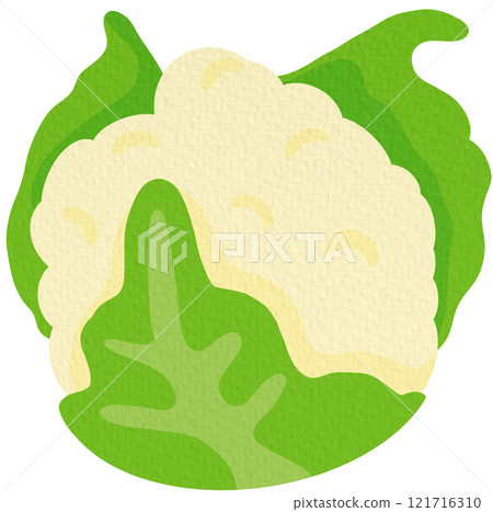 cauliflower, vector, vegetable 121716310