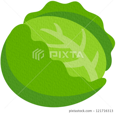 vector, vegetable, cauliflower 121716313