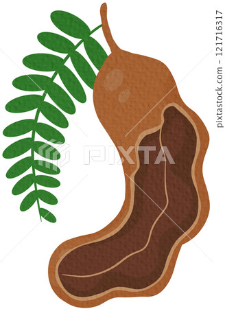 tamarind, fruit, leaf 121716317