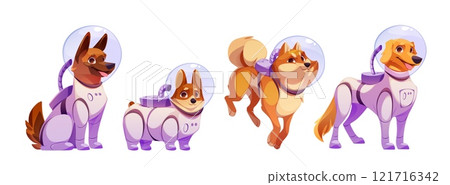 Astronaut dogs set isolated on white background 121716342