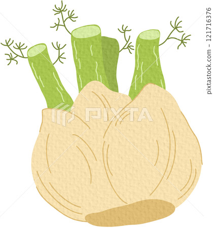 leaves, vegetable, herb 121716376