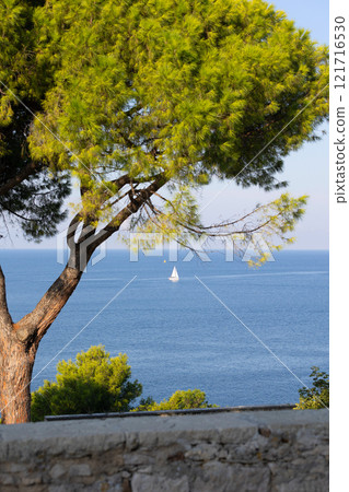 Rovinj, Croatia square with trees and sea view 121716530