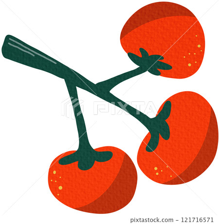 vector, tomato, vegetable 121716571