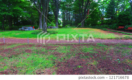 板橋區赤塚植物園內部（東京都板橋區赤塚） 121716678