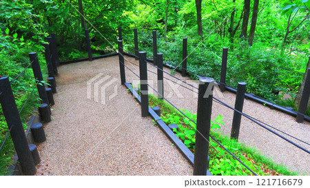 Scenery inside Akatsuka Botanical Garden (Akatsuka, Itabashi Ward, Tokyo) 121716679