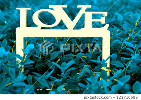 White frame with the inscription love.Emerald meadow 121716689