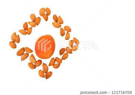 Fresh ripe apricot fruits, kernels isolated on white Fresh ripe apricot fruits, kernels isolated on white 121716709
