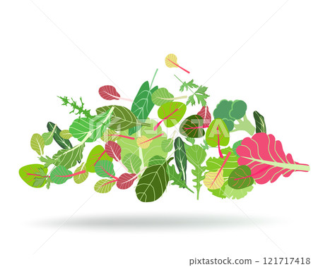 Salad leaf set pattern vector 121717418