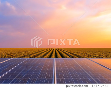 solar farm at sunset with solar panels and fields in background 121717582