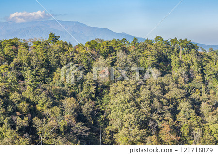 從長野縣飯田市空山坡天龍峽眺望，樹木和新綠色開始變成秋葉 121718079