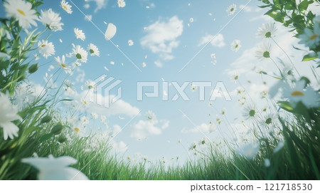 A white sky with small clouds, white flowers in the grass on both sides of the frame. 121718530