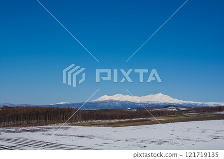 Spring upland field and snowy mountains where snow remains Daisetsuzan Spring upland field and snowy mountains where snow remains Daisetsuzan 121719135