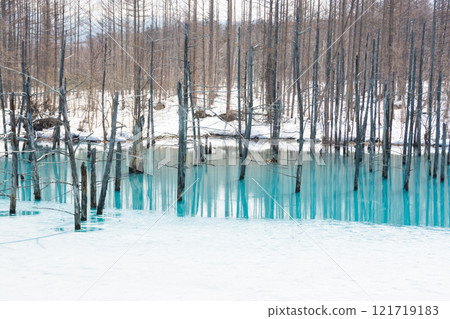 Spring blue pond with snow, Biei Town 121719183