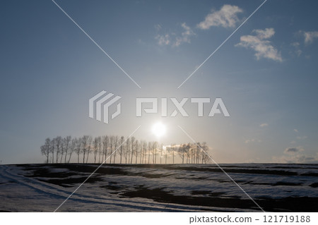 春天融化的雪山和白樺樹 121719188