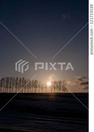 春天黃昏時融化的雪山和白樺樹 121719189