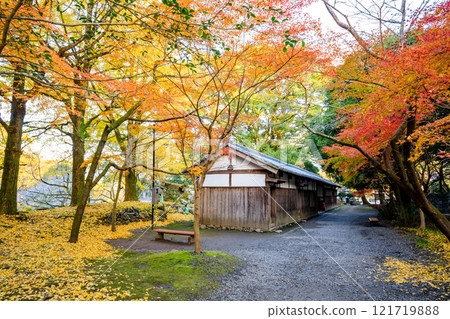 Autumn at Akizuki Castle Ruins, Nagayamon Gate, Asakura City, Fukuoka Prefecture 121719888