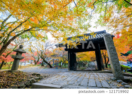 秋天的秋月城遺址 黑門 福岡縣朝倉市 秋天的秋月城遺址 黑門 福岡縣朝倉市 121719902