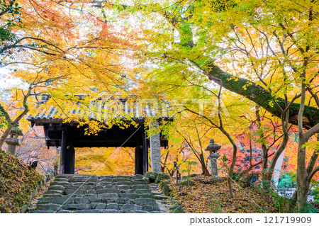 秋天的秋月城遺址 黑門 福岡縣朝倉市 121719909