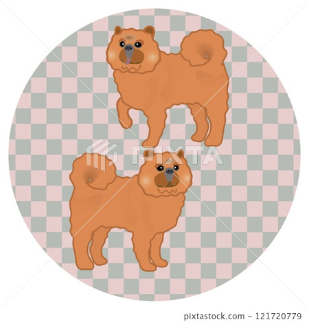 圓形背景鬆獅狗的插圖 圓形背景鬆獅狗的插圖 121720779