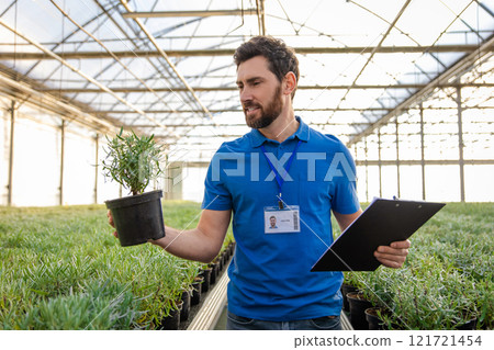 Smiling bearded young caucasian man with a potted plants in hands in a greenhouse 121721454