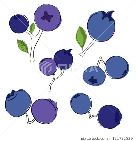 Graphic outline illustration set of two blueberries isolated on white transparent background. Vector Various blueberry bunches. 121721529