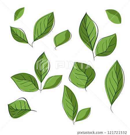 Set of graphic line leaves silhouettes. Vector Hand drawn floral design elements, icons, shapes. Wild and garden leaves outline illustrations isolated on white transparent background Set of graphic line leaves silhouettes. Vector Hand drawn floral design elements, icons, shapes. Wild and garden leaves outline illustrations isolated on white transparent background 121721532