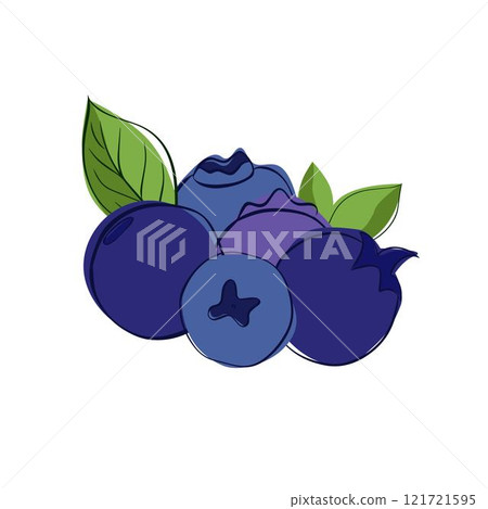Blueberry big composition graphic line style. Vector illustration isolated on white transparent background Blueberry big composition graphic line style. Vector illustration isolated on white transparent background 121721595