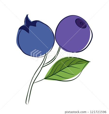 sketch graphic line blue bilberries composition with branch and leaf. Vector illustration on transparent background sketch graphic line blue bilberries composition with branch and leaf. Vector illustration on transparent background 121721596