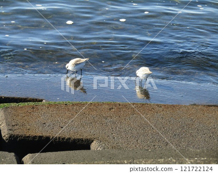 我對Miyubishigi的早餐很著迷。 121722124