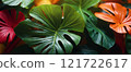 Tropical Leaves on a Bright Background 121722617
