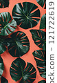 Tropical Leaves on a Bright Background 121722619