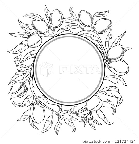 Almond Branch with Nuts Outline Circular Frame. 121724424